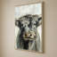 Vache Highland-130878827-130878834