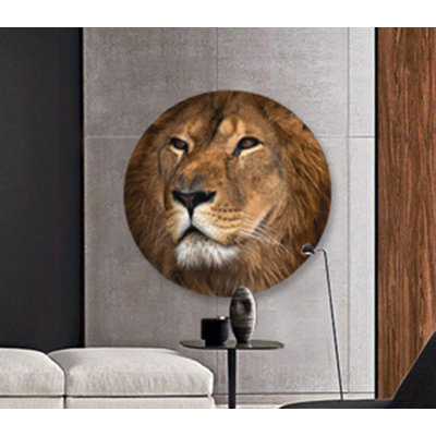 Lion fier - photographie