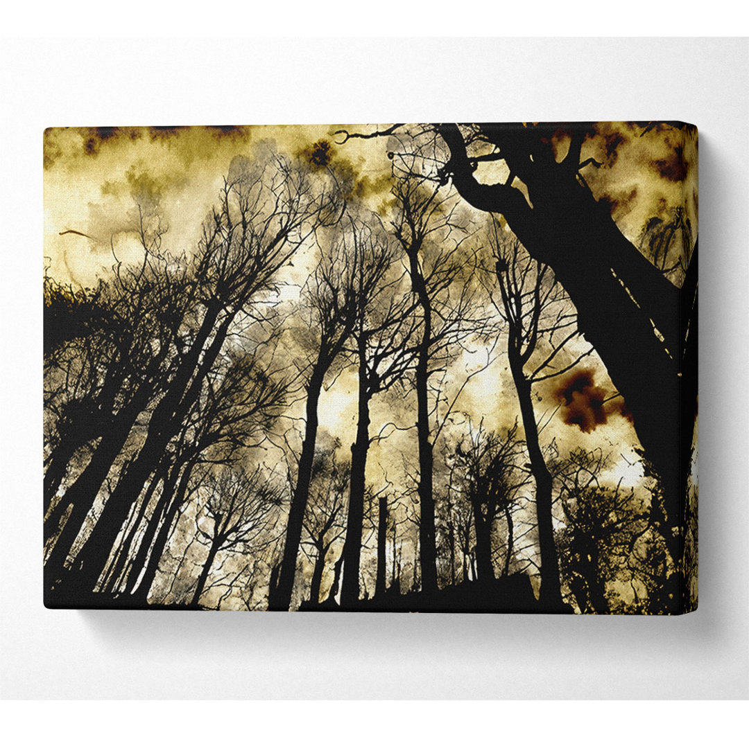 Kunstdruck Woodland Skies