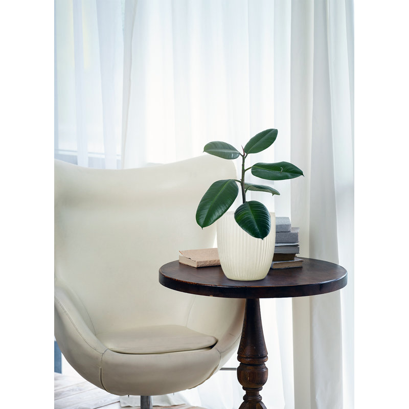 Vase de table en verre frosted Talisha