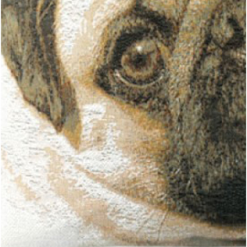 Pug Face Blue Cotton Euro Cushion Cover
