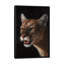 « cougar », impression sur toile-33109270-72405778-72405781