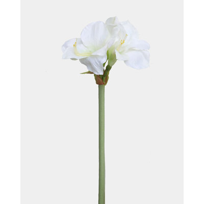 Amaryllis artificiel blanc 19,5 po