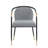 Jaquayla Gold-Tipped Modern Dining Chairs-1796146593