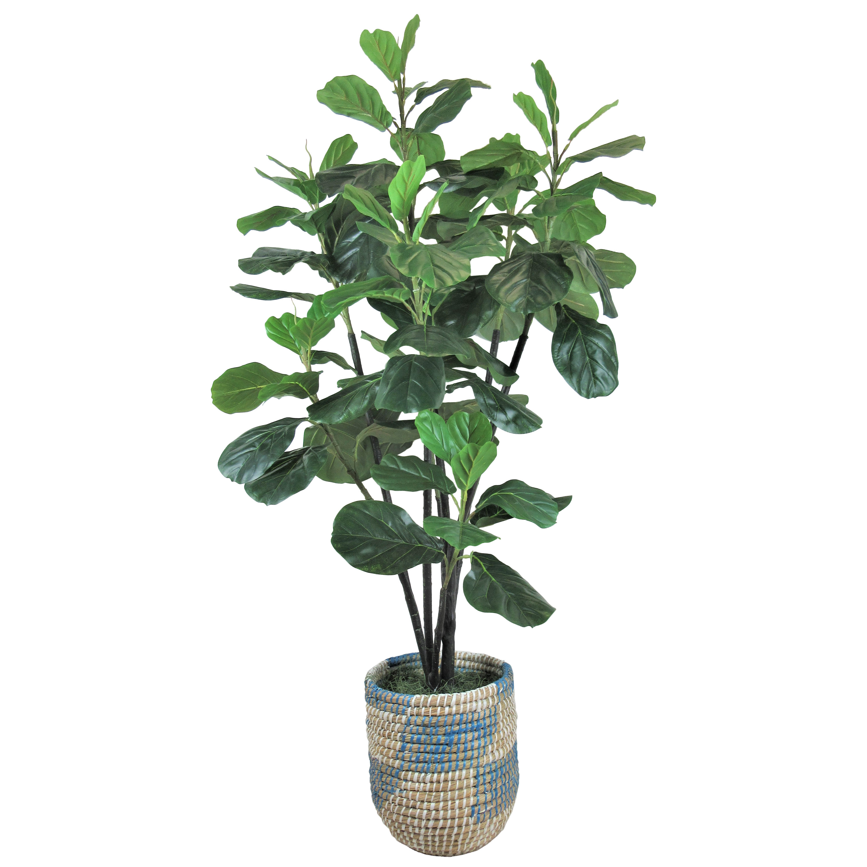 Arlmont & Co. Liasia 66'' Faux Fiddle Leaf Fig Tree in Wicker/Rattan