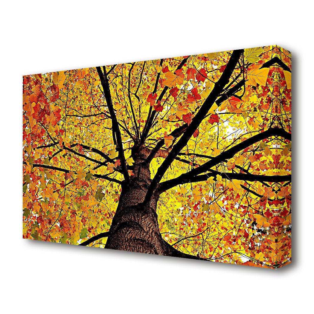 East Urban Home Yellow Autumn Tree Forest Canvas Print Wall Art ...