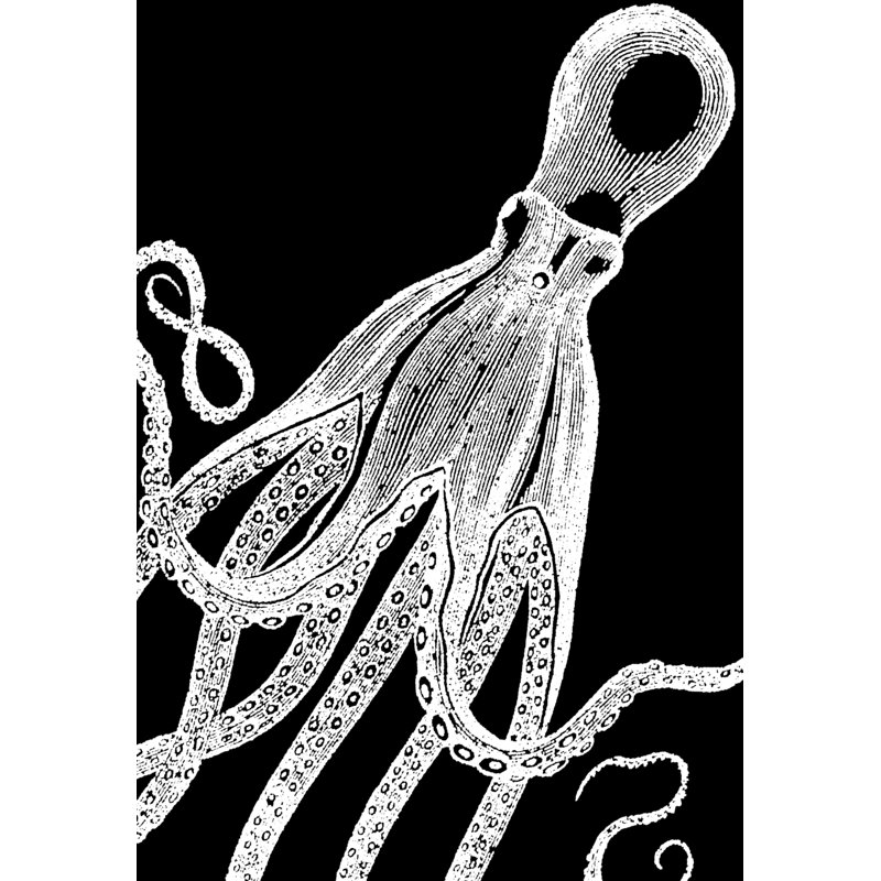 Octopus - Painting Print, 122 cm H x 81 cm W, Black Floater Framed