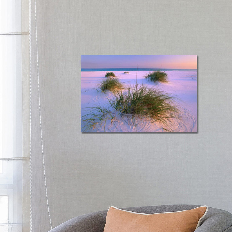 Sea Oats Growing on Beach, Santa Rosa Island, Gulf Islands National Seashore, Florida 1 Piece Wrapped Canvas Wall Art