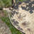 Emaliya Iron Birdbath