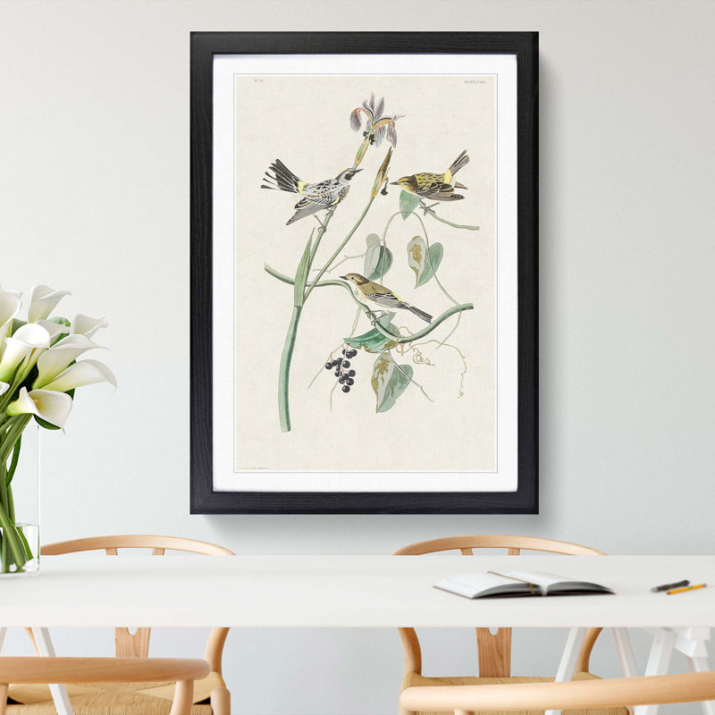 Yellow-Crown Warbler Birds by John James Audubon - Picture Frame Art Print, Black Framed, 48cm H x 36cm W x 2cm D