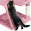 Cat Tree-101437453-105286891