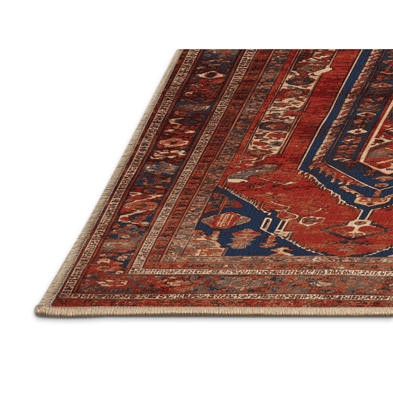 Tapis brun lavable à la machine, Rectangle 5 pi x 7 pi