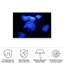 «Deep Sea Ballerina On Canvas» par Jan Matussik, reproduction-2139859547