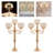 5-Arm Crystal Candelabra Centerpieces-1698101966