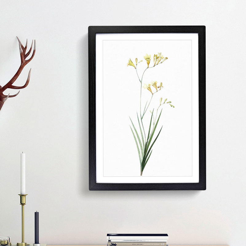 Freesia Flowers by Pierre-Joseph Redoute - Picture Frame Painting Print, 65cm H x 48cm W x 2cm D, Black Framed