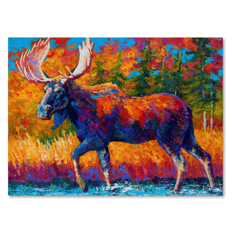 «Moose Encounter» par Kucera, reproduction sur toile tendue, H 14 po x l 19 po