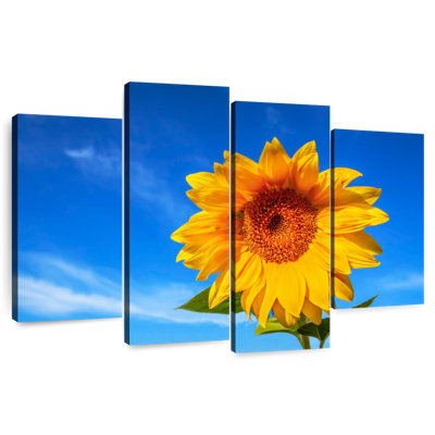 Harnek Lone Sunflower