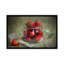 « goûts of summer », reproduction sur toile-33088586-72231179-72231186