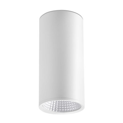 1 Light Ceiling Spotlight