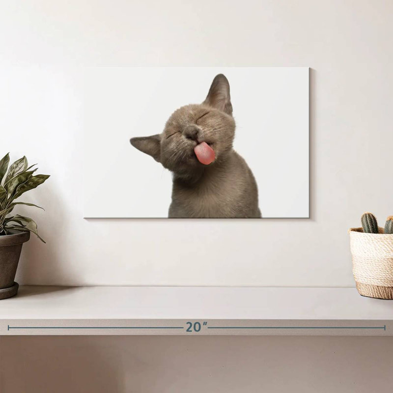Brampt Cat's Tongue, 8" H x 12" W