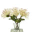 Arrangement