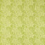 Cream/Sap Green