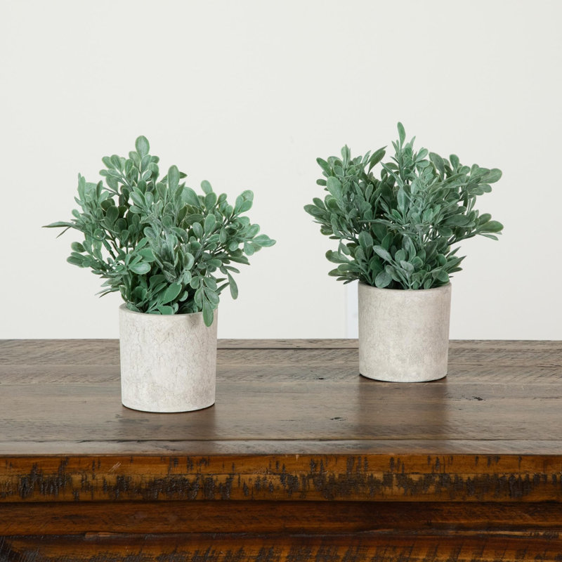 8 po Buis artificiel en pot décoratif - ensemble de 2