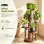 Plant Stand