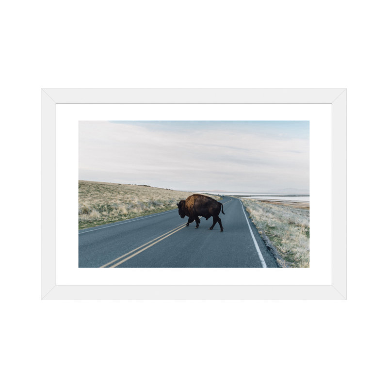 « buffalo bison » par chelsea victoria-impression, H 24 po x l 32 po x P 1 po, Papier avec cadre blanc