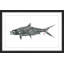 Andrew Clay - Single Picture Frame Print-20604429