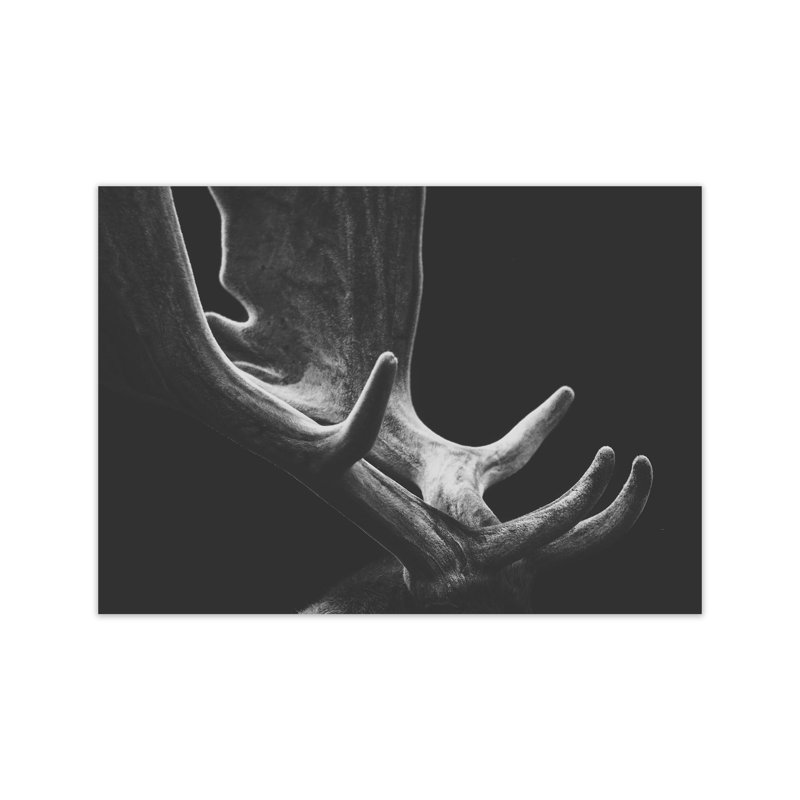Antlers by Victoria Frost - Print, Unframed, 60cm H x 84cm W x 1cm D