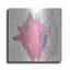 Highland Dunes «Shimmering Shells 12» par James Wiens, art mural en métal-1351206212
