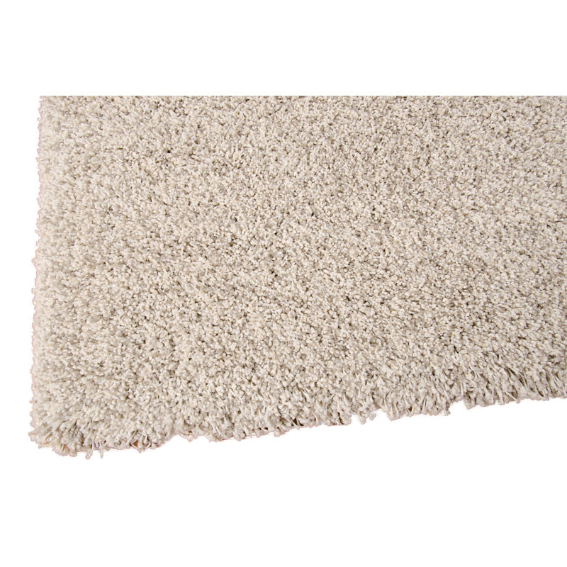 Patinkin Solid Colour Area Rug, Rectangle 239 x 330cm