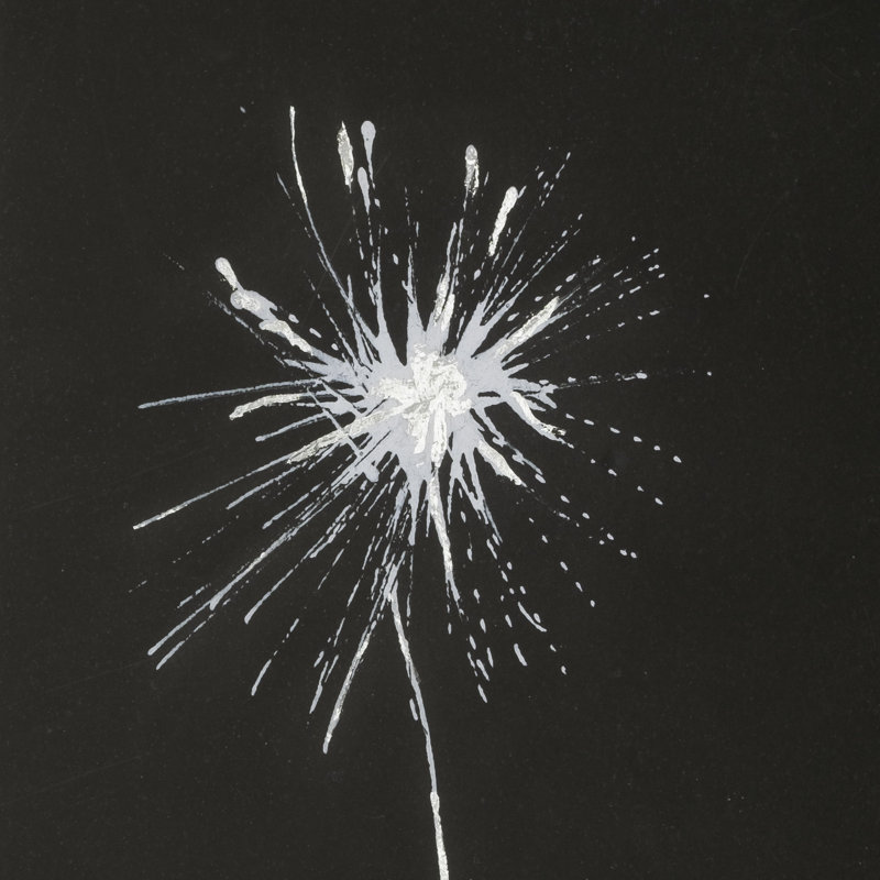 "Flora II", reproduction d'art encadrée texturée matte sous verre, Flora II