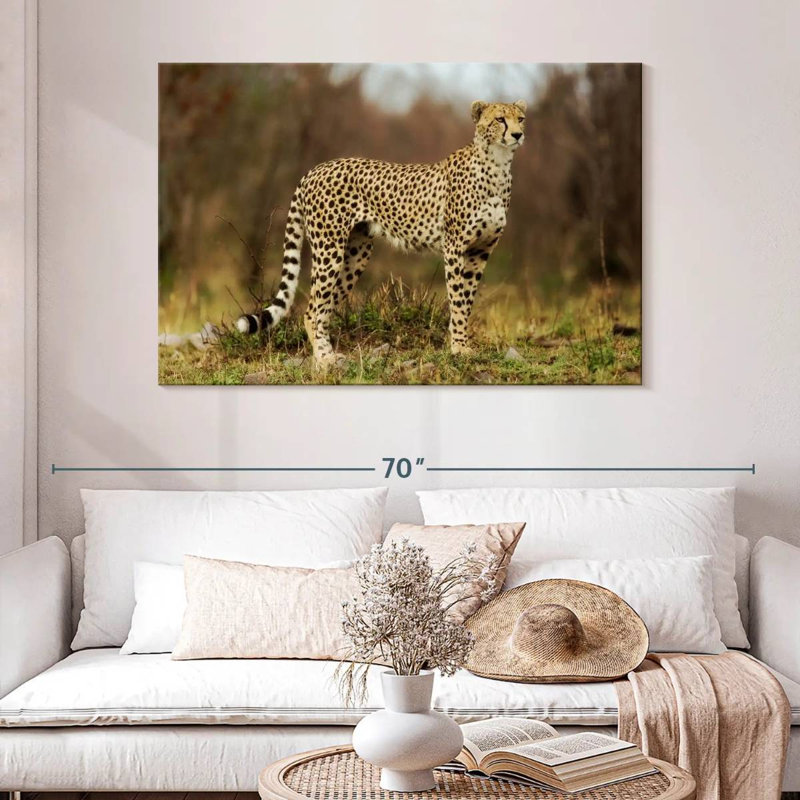 Guépard regardant sa proie, H 32 po x l 48 po