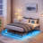 Laureldale 14 inches Metal Platform Bed with LED Lights, USB Charging Station-176937642