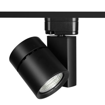 Exterminator II LED Adjustable Track Head
