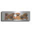 «Rhodisian Ridgeback Puppies» par Barbara Keith-213022227
