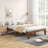 Pastora Full / Double 14'' Platform Bed-1794983880