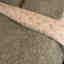 Photos des clients 3 de 3