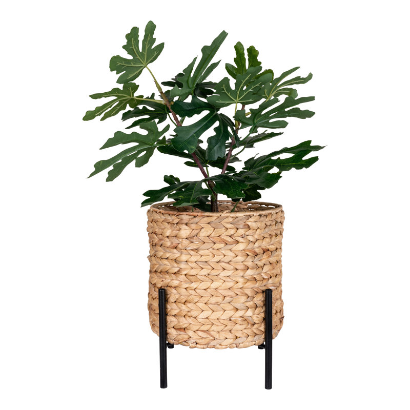 Philipstown Pot Planter