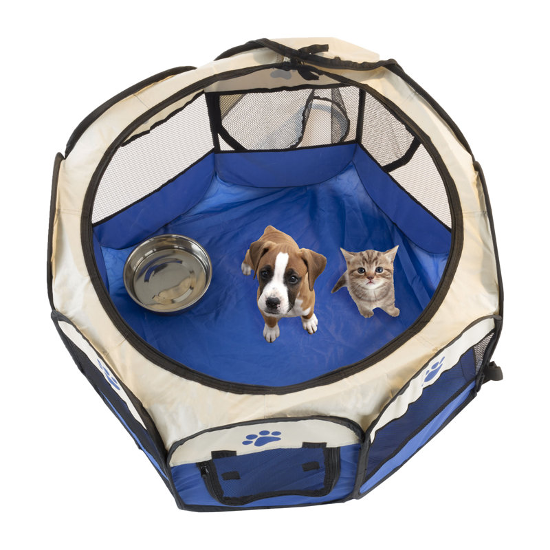 Blue & Tan Portable Plastic Pet Playpen with Carrying Case