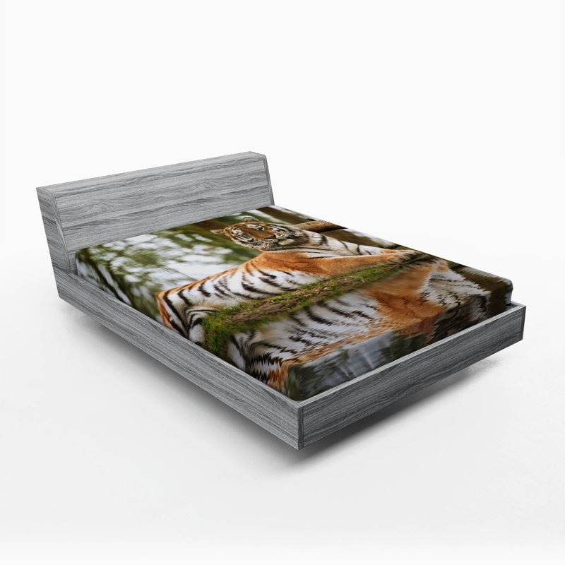 Microfiber Fitted Sheet, Queen Fitted Sheet