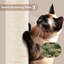 Arbre à chat 42 po pour petits et moyens chats Davalos-1888141034