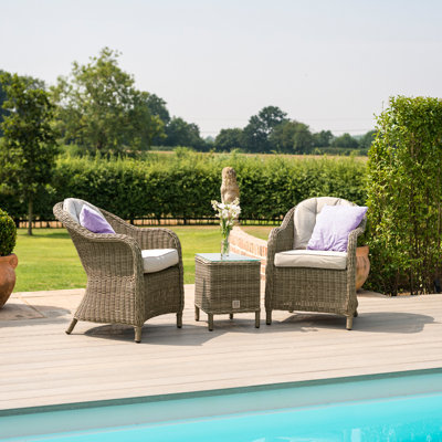 Outdoor Salinas All Weather Wicker 2 - Person Seating Group with Cushions