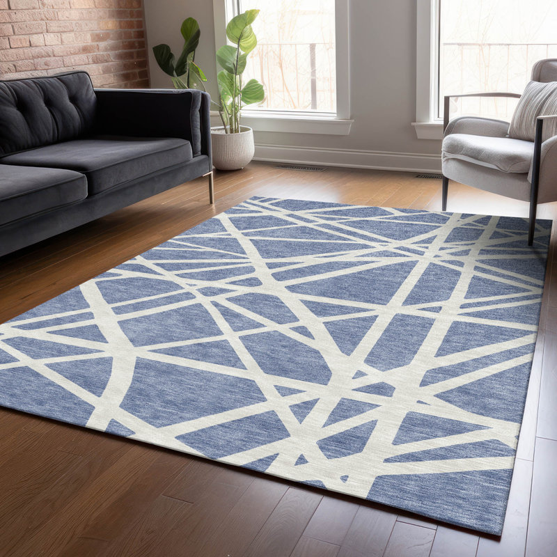 Tapis intérieur / extérieur lavable Zephina , 5' x 7'6"