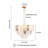 8 - Light Dimmable Empire Chandelier