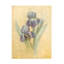 «Danhui Nai June Iris», art sur toile-105629203