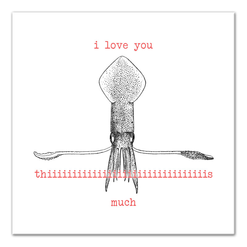 Love squid Aryanna, H 20 po x l 20 po x P 1,25 po