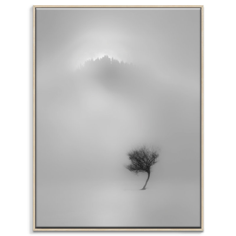 Print on Canvas, 51cm H x 41cm W, Timber Floater Frame